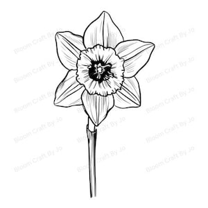 Narzisse Line Art: März Geburt Blume Clipart (10er Set) (Digitaler Download)