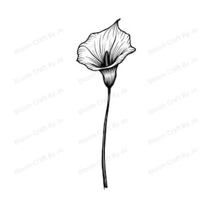 Language of Flowers – Minimalist Line Art Clipart Set | Calla Lily (Digital Download - 300 DPI)