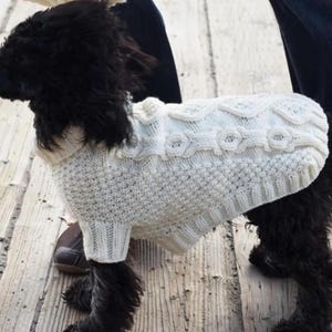 May include: A black dog wearing a white knitted sweater with a cable knit pattern. The sweater has a turtleneck collar.