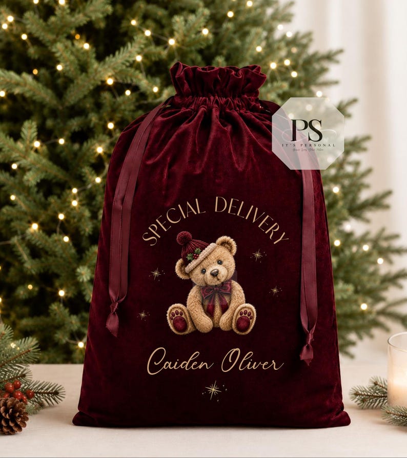 May include: A deep burgundy velvet drawstring gift bag featuring a gold-printed teddy bear wearing a red knit hat and a plaid bow tie. The text reads SPECIAL DELIVERY above the bear and the name Caiden Oliver in gold script below the bear.