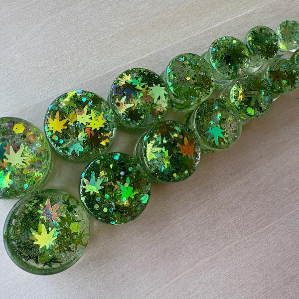 Circle MaryJane Resin Ear Plugs