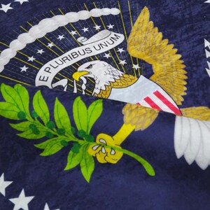Puede incluir: Una alfombra circular azul y dorada con el Gran Sello de los Estados Unidos. El sello representa un &aacute;guila calva con las alas extendidas, sosteniendo una rama de olivo en su garra derecha y flechas en su garra izquierda. El &aacute;guila est&aacute; posada sobre un escudo con trece rayas y un campo azul con trece estrellas. El sello est&aacute; rodeado por un anillo de estrellas blancas y las palabras "E Pluribus Unum" y "Of the United States".