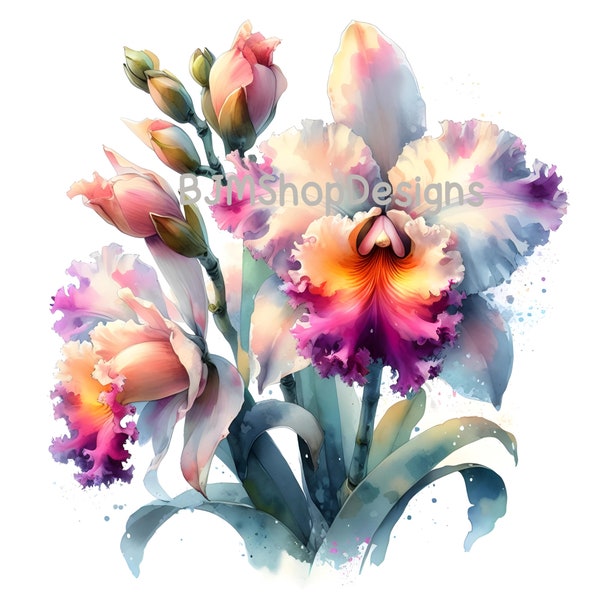 Pink Cattleya orchid, Clipart, Art print decor, Wall art, Card making, Printable clipart, 12 High-Quality PNGs (300 dpi), Commercial Use,