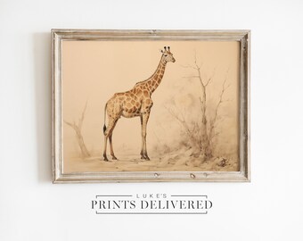 African Giraffe Drawing Art Print - Wild Animal Sketch Artwork - Nature Portrait Wall Decor - Fine Art, Semi-Gloss & Matte Finish Paper