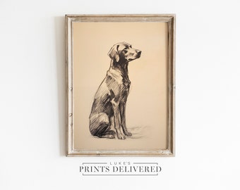 Vintage Labrador Drawing Art Print - Dog Portrait Artwork - Pet Sketch Fine Art - Silver Lab Wall Decor