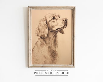 Golden Retriever Drawing Print - Big Dog Owner Gift - Fine Art, Semi-Glossy & Matte Finish Paper - Pet Sketch Wall Decor