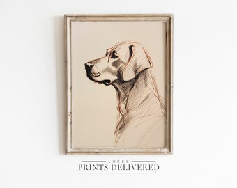 Labrador Portrait Drawing Print - Big Dog Sketch Wall Art - Silver Lab Artwork - Fine Art, Semi-Glossy & Matte Finish Paper