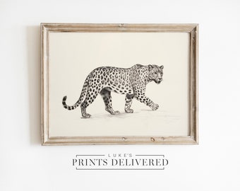 Leopard Drawing Art Print - Minimalist African Wildlife Sketch - Rustic Style Big Cat Drawing - Fine Art, Semi-Gloss & Matte Finish Paper
