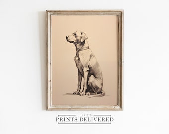 Silver Labrador Art Print Drawing - Rustic Pet Dog Sketch Wall Decor - Classic Lab Portrait Artwork - Fine Art, Semi-Glossy & Matte Finish