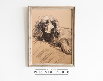 Lindo English Spaniel Sketch Art Print - Retrato de perro mascota de estilo vintage - Bellas artes, obras de arte en papel con acabado semibrillante y mate