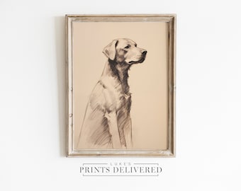 Sitting Labrador Portrait Sketch Print - Silver Lab Drawing Wall Decor - Fine Art, Semi-Gloss & Matte Finish Paper - Pet Dog Artwork