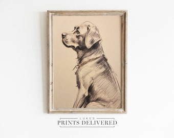 Labrador-Skizze-Kunstdruck – großes Hunde-Zeichnungsporträt – feine Kunst, halbglänzendes und mattes Papier – Haustier-Labor-Wanddekoration