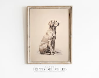 Silver Labrador Portrait Art Print - Big Dog Drawing Sketch Poster - Fine Art, Semi-Glossy & Matte Finish Paper - Pet Home Decor