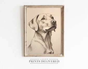 Labrador Portrait Drawing Art Print - Big Dog Sketch Wall Decor - Pet Lover Gifts - Fine Art, Semi-Glossy & Matte Finish Paper