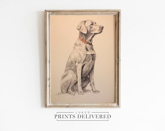 Sitting Labrador Sketch Print - Fine Art, Semi-Glossy & Matte Finish Papers - Cute Dog Drawing Artwork - Rustic Pet Owner Gifts