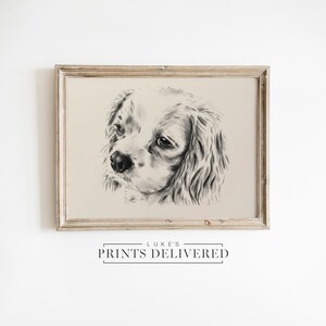 Cavalier King Charles Spaniel Portrait Drawing Print - Fine Art, Semi-Glossy & Matte Finish Artwork Wall Decor - Small Dog Sketch Wall Art