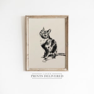 Shorthair Black Cat Print - Moody Pet Sketch Wall Art - Gift For Cat Lover - Semi-Glossy, Matte & Fine Art Paper Artwork Drawing