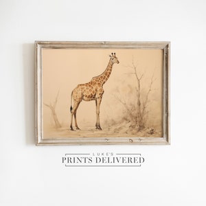 African Giraffe Drawing Art Print - Wild Animal Sketch Artwork - Nature Portrait Wall Decor - Fine Art, Semi-Gloss & Matte Finish Paper