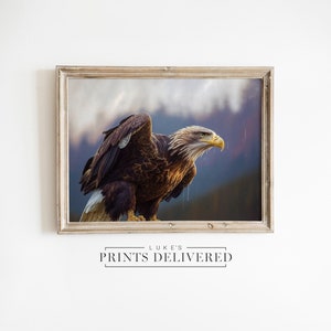 Impression d&#39;art de peinture à l&#39;huile d&#39;aigle perché - papier d&#39;art, finition semi-brillante et mate - décoration murale rustique d&#39;oiseau de proie américain