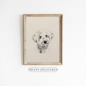 Bichon Frise Drawing Art Print - Fine Art, Semi-Glossy & Matte Finish Paper Wall Decor - Dog Portrait Sketch Artwork - Dog Lover Gift