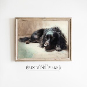 Spaniel Lying Art Print - Dog Painting Artwork - Puppy Portrait Wall Decor - Fine Art, Semi-Glossy & Matte Finish Papers - Pet Lover Gift