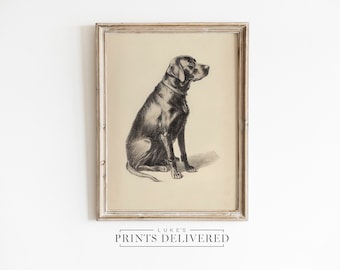 Black Labrador Portrait Sketch Print - Vintage Dog Drawing Wall Art Poster - Fine Art, Matte & Semi-Glossy Finish Paper Artwork Decor