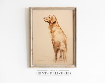 Golden Retriever Sketch Art Print - Cute Arty Dog Wall Decor - Modern Pet Drawing - Fine Art, Matte & Semi-Glossy Finish Paper Artwork