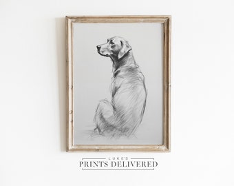 Silver Labrador Sketch Print - Moody Lab Illustration Artwork - Pet Dog Drawing Wall Decor - Fine Art, Matte & Semi-Glossy Finish Paper Art