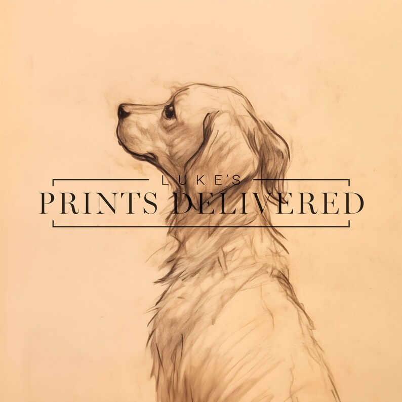 Golden Retriever Drawing Art Print