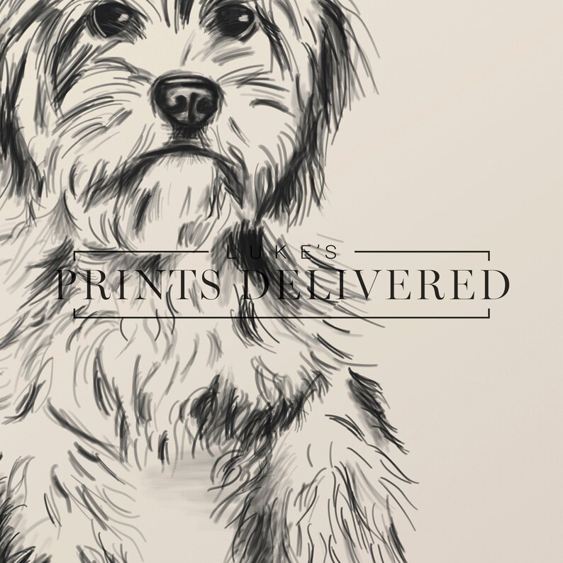 Cavoodle Sketch Art Print