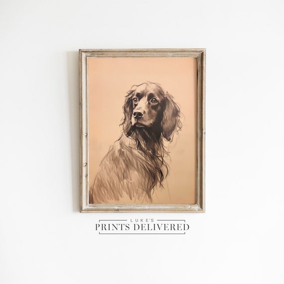 Moody Spaniel Drawing Art Print - Minimalist Pet Dog Sketch Portrait - Fine Art, Semi-Glossy & Matte Finish Papers Wall Decor