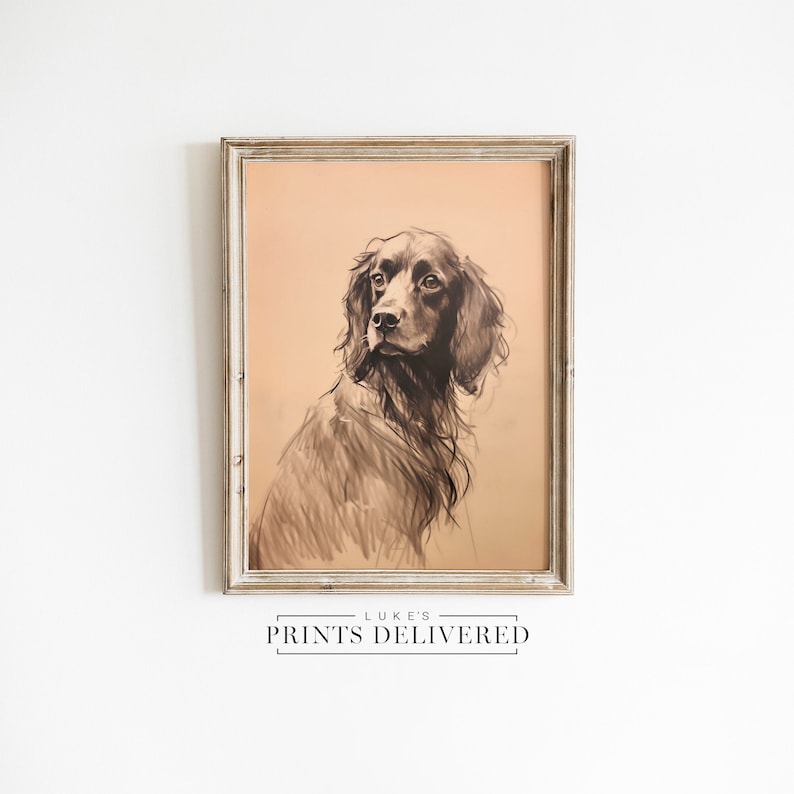 Moody Spaniel Drawing Art Print