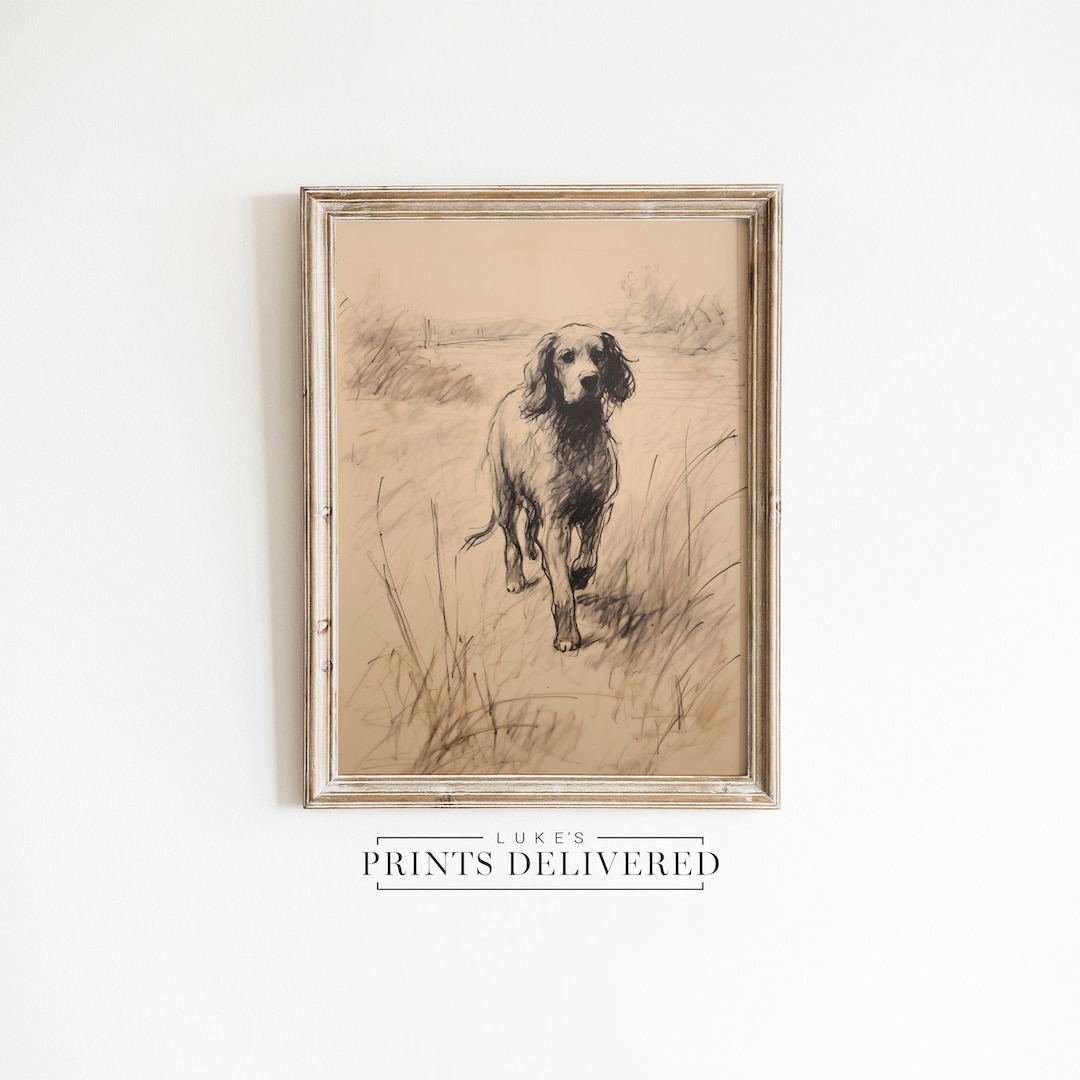 English Spaniel Sketch Print - Vintage Style Dog Portrait - Pet Fine ...