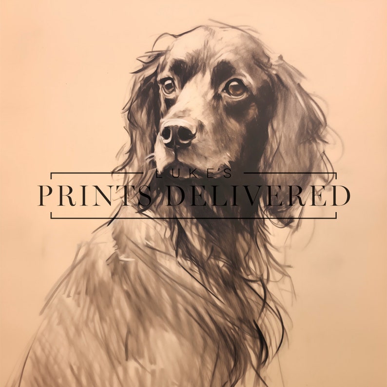Moody Spaniel Drawing Art Print