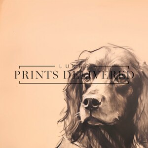 Moody Spaniel Drawing Art Print