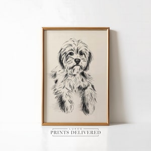 Cavoodle Sketch Art Print