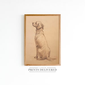 Golden Retriever Drawing Art Print