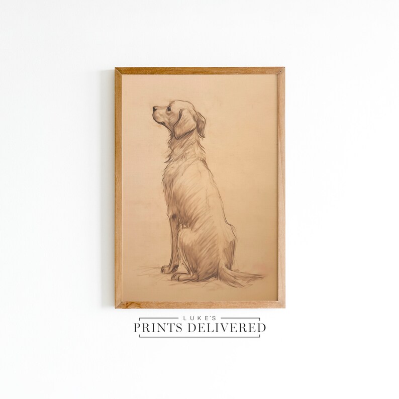 Golden Retriever Drawing Art Print