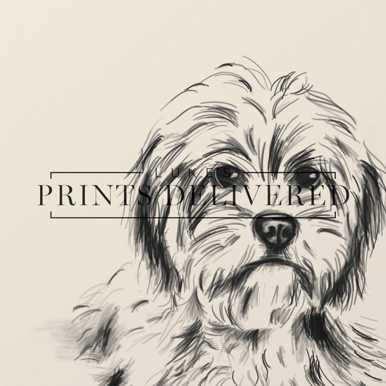 Cavoodle Sketch Art Print