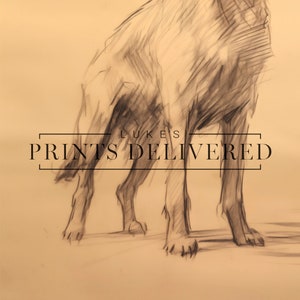 Rustic Golden Retriever Standing Sketch Print