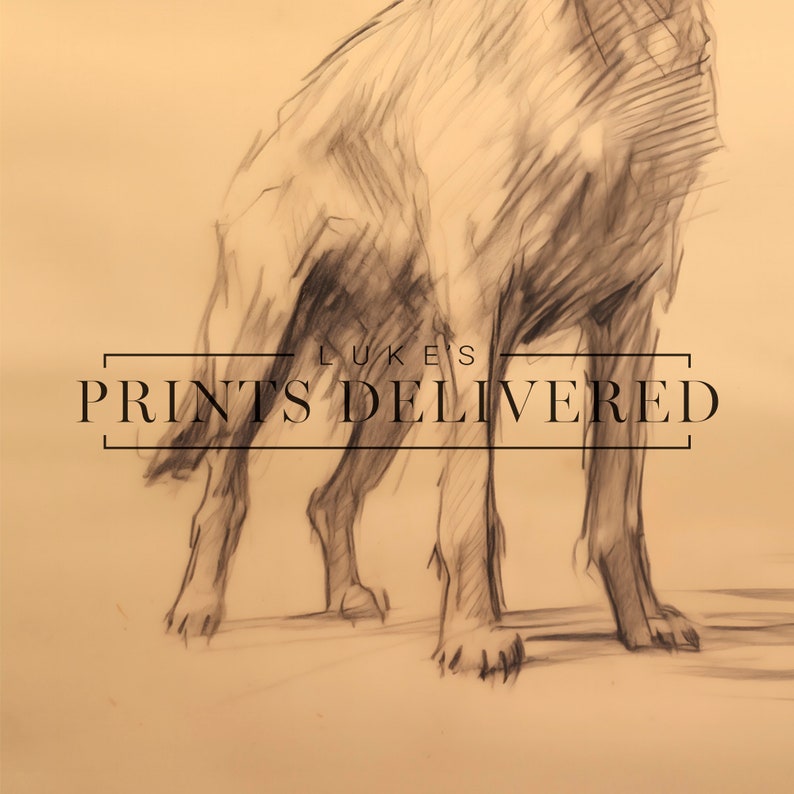 Rustic Golden Retriever Standing Sketch Print