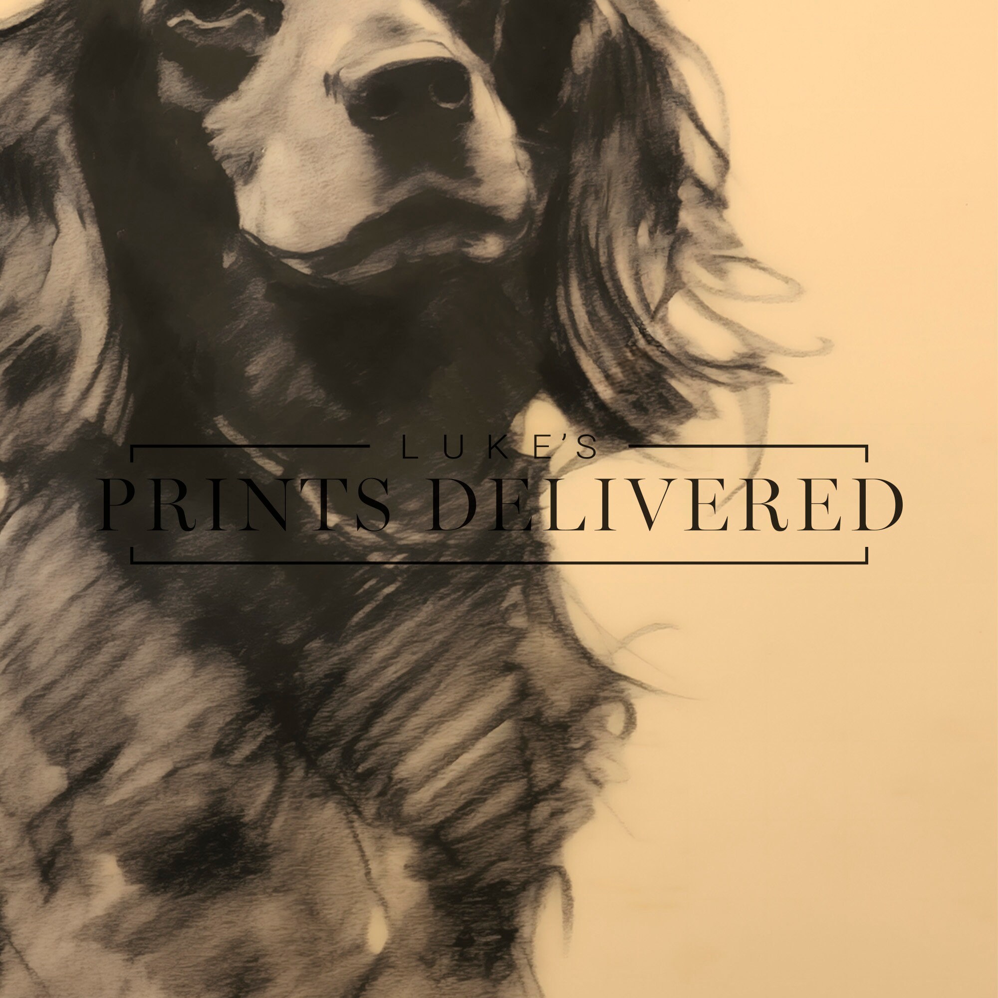 Black English Spaniel Sketch Art Print - Rustic Style Dog Drawing ...