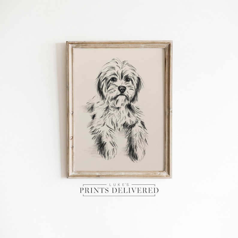 Cavoodle Sketch Art Print