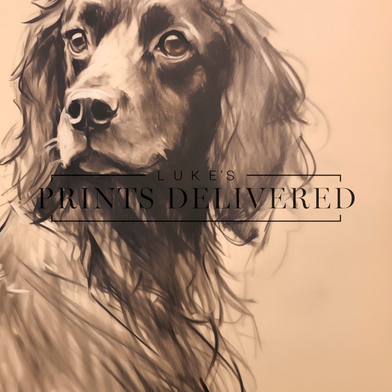 Moody Spaniel Drawing Art Print