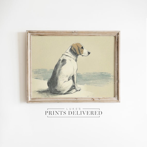 Beagle Portrait Drawing Art Print - Rustic Style Pet Dog Sketch Artwork - Fine Art, Semi-Glossy & Matte Finish Papers