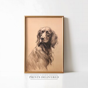 Moody Spaniel Drawing Art Print