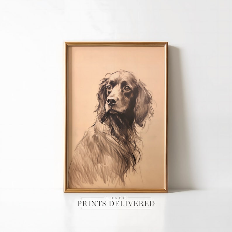 Moody Spaniel Drawing Art Print