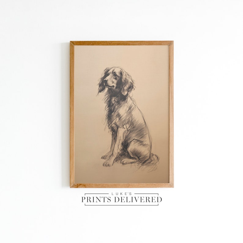 Springer Spaniel Sketch Art Print - Sitting Pet Dog Drawing Portrait ...