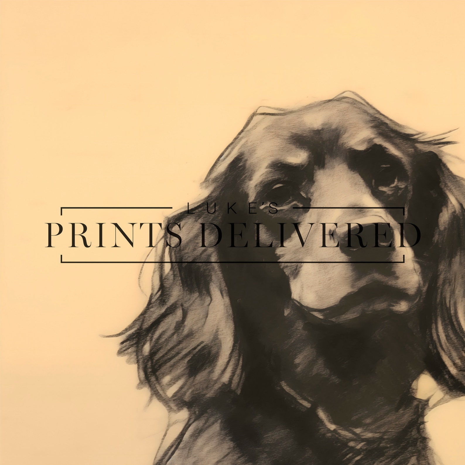 Black English Spaniel Sketch Art Print - Rustic Style Dog Drawing ...