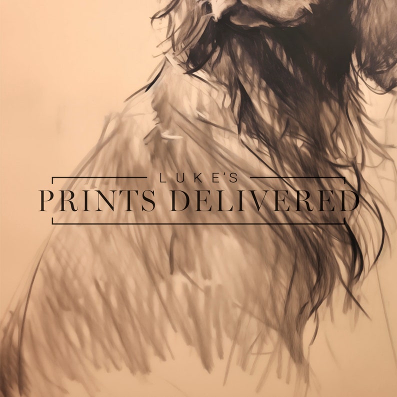 Moody Spaniel Drawing Art Print